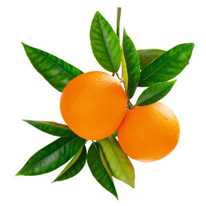Arancio Dolce